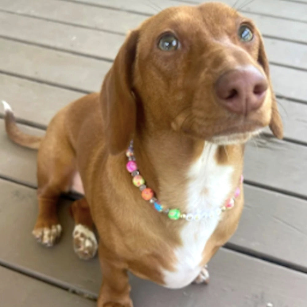 Unbelievable Gorgeous Sparkly Pet Clay Flower Necklace!