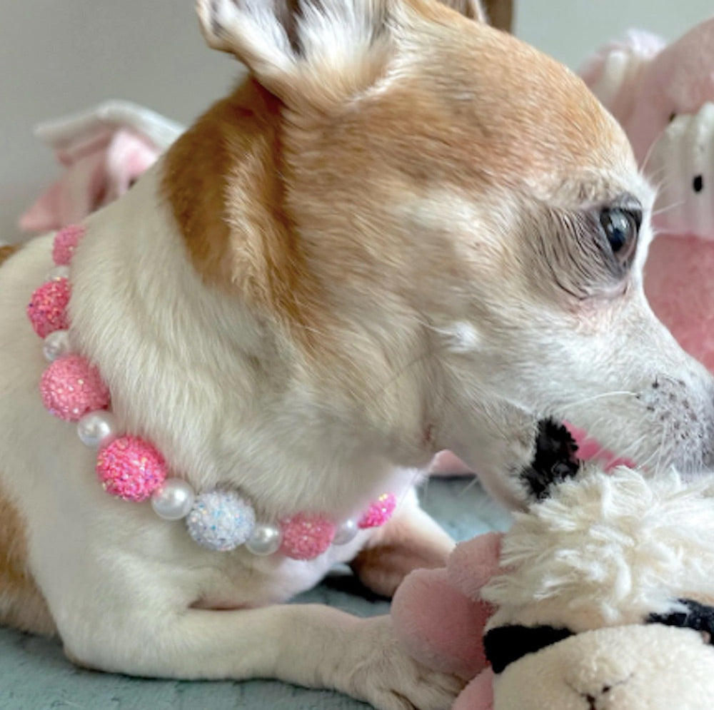 Versatile Elegant Sparkly Pet Necklace