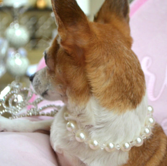 sparkly pearl and crystal dog necklace, custom made statement jewelry for your furry friend – perfect gift for pet lovers